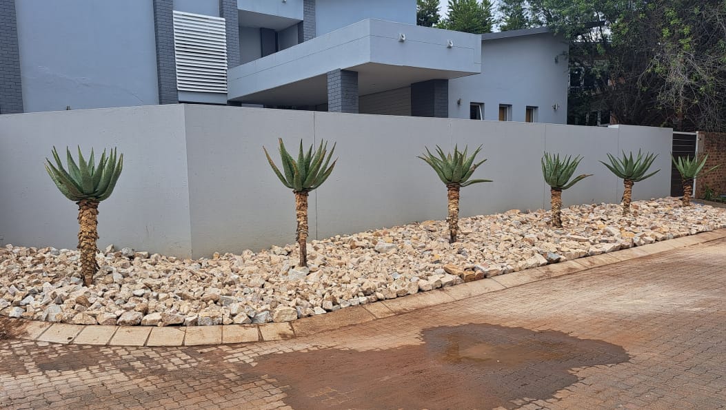 Front Yard in Pretoria East